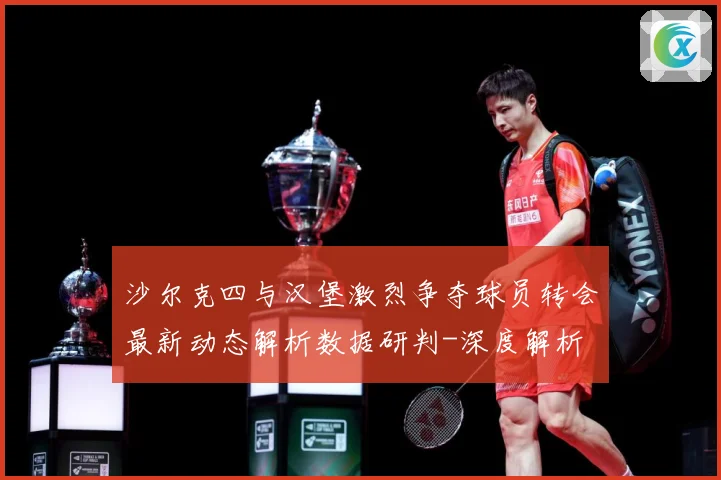 沙尔克四与汉堡激烈争夺球员转会最新动态解析数据研判-深度解析